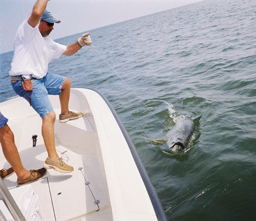  louisiana near shore fishing south shore harbour fishing charter league city guiding seabrook freshwater fishing kemah anglers fishing texas fishes gulf coast fishing guides  