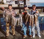  freeport fishing guides lake jackson charters port lavaca tournaments fishing matagorda trophies fishing gulf of mexico fishing trip galveston anglers houston near shore fishing  